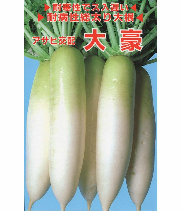 アサヒ交配　大豪大根（だいこんの種）|野菜のタネ専門通販サイト|アサヒのぐるたね