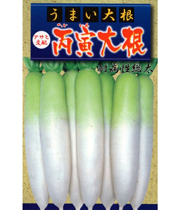 大根の種 新打総太り 小袋 野菜の種 約20ml