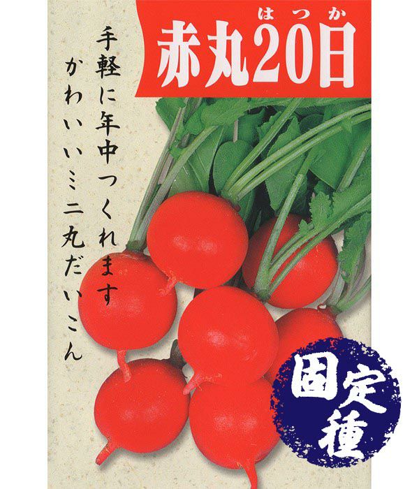 赤丸はつか大根（コメット）（ラディッシュの種）【固定種】|野菜のタネ専門通販サイト|アサヒのぐるたね