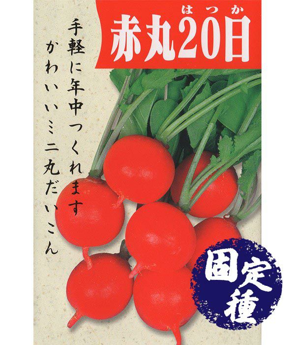赤丸はつか大根 コメット ラディッシュの種 固定種 野菜のタネ専門通販サイト アサヒのぐるたね 赤丸はつか大根 コメット ラディッシュの種 固定種 野菜のタネ専門通販サイト アサヒのぐるたね