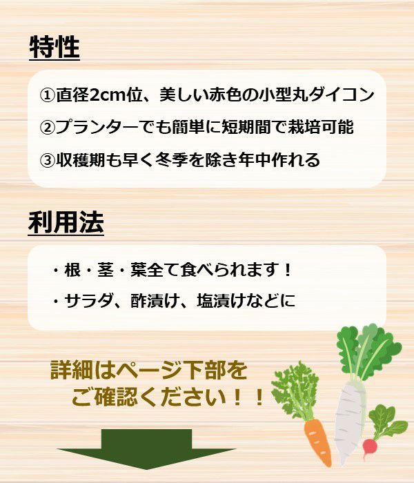 赤丸はつか大根（コメット）（ラディッシュの種）【固定種】|野菜のタネ専門通販サイト|アサヒのぐるたね