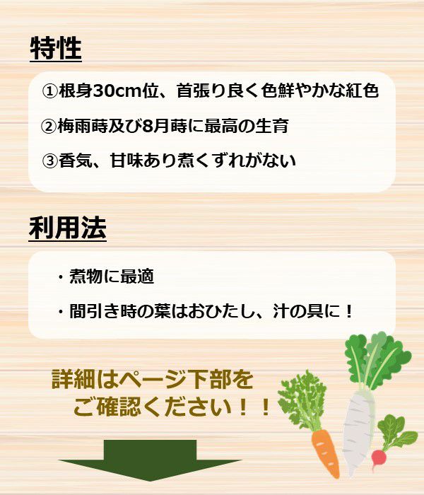 本紅金時人参（にんじんの種）【固定種】|野菜のタネ専門通販サイト|アサヒのぐるたね