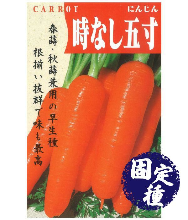時なし五寸人参（にんじんの種）【固定種】|固定種 在来種に強い 野菜