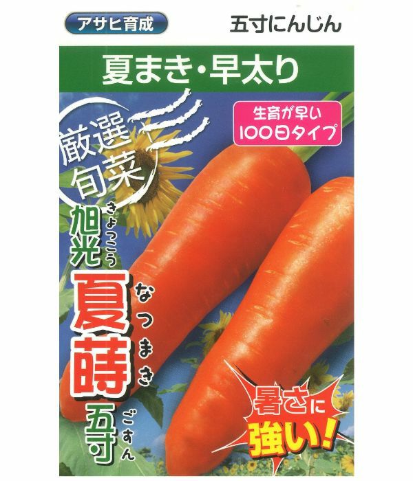 アサヒ育成　旭光夏蒔五寸人参（にんじんの種）|固定種 在来種に強い 野菜のタネ専門通販サイト|アサヒのぐるたね