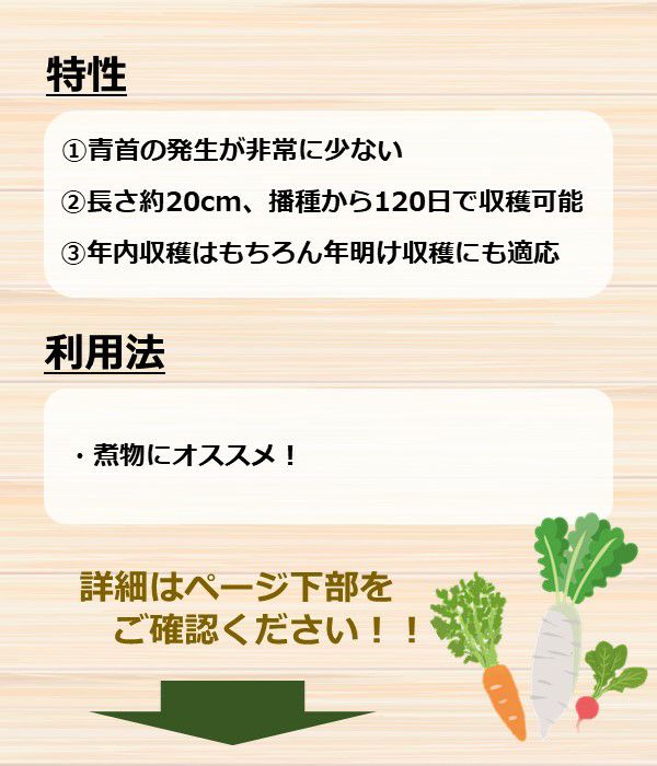 アサヒ育成 吸込尾張五寸人参（にんじんの種）|固定種 在来種に強い