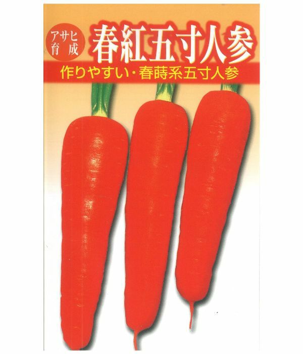 アサヒ育成　春紅五寸人参（春まきニンジンの種）|固定種 在来種に強い 野菜のタネ専門通販サイト|アサヒのぐるたね