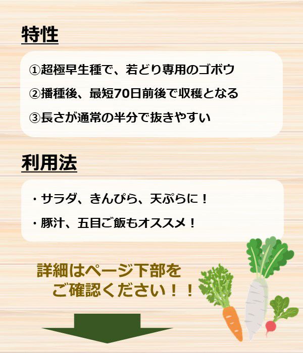 アサヒ育成 じょうでき牛蒡（ごぼうの種）|野菜のタネ専門通販サイト|アサヒのぐるたね