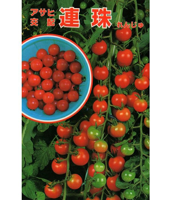 000000000116-01-l.jpg?t=