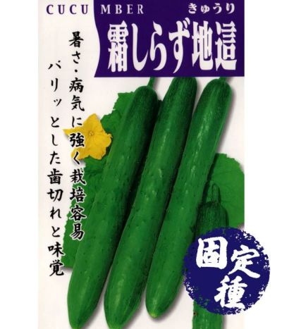 マクワウリ　10kg入り マクワウリ | 野菜のタネ | 株式会社トーホク