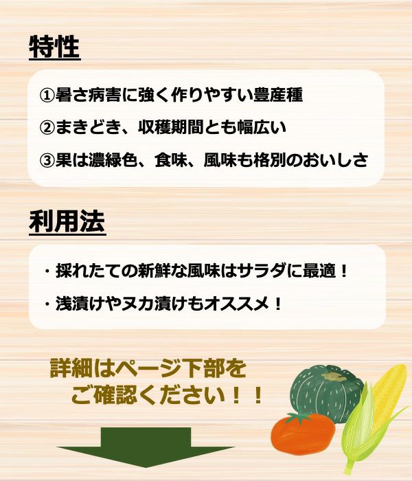 霜しらず地這胡瓜（キュウリの種）【固定種】|固定種 在来種に強い