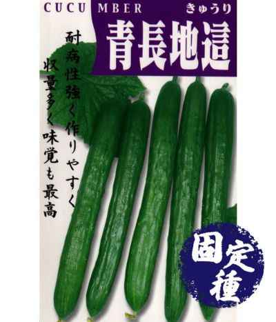 キュウリ|固定種 在来種に強い 野菜のタネ専門通販サイト|アサヒのぐるたね