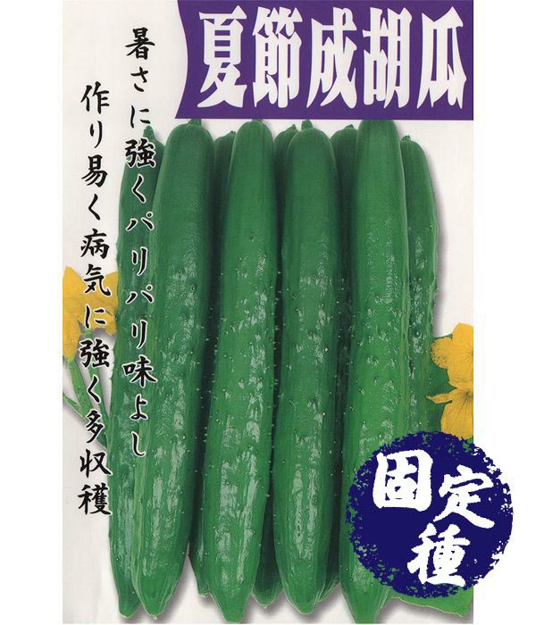 夏節成胡瓜（キュウリの種）【固定種】