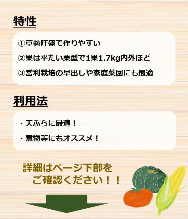 打木赤皮甘栗南瓜（カボチャの種）【固定種】|固定種 在来種に強い