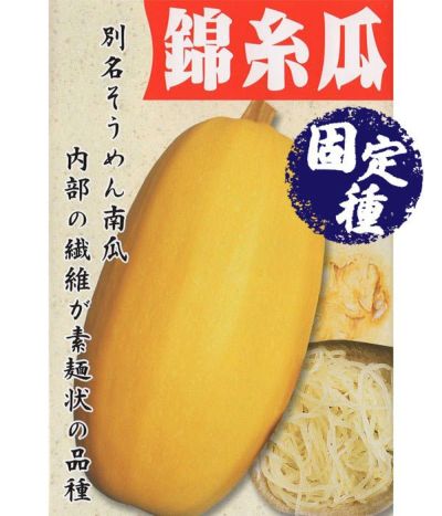 カボチャ|固定種 在来種に強い 野菜のタネ専門通販サイト|アサヒのぐるたね