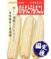 白もちとうもろこし（トウモロコシの種）【固定種】