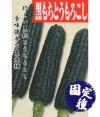 昔懐かしい味です。 黒もちとうもろこし・もちきび（トウモロコシの種）【固定種】