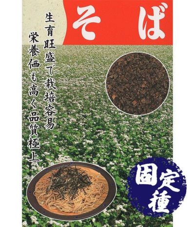 生育旺盛で栽培容易 栄養価も高く品質極上 そば（蕎麦の種）【固定種】