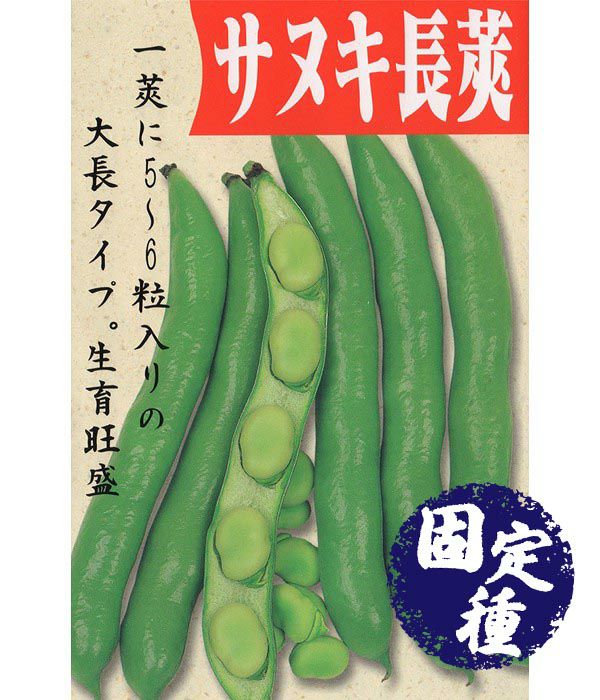 サヌキ長莢蚕豆（そら豆の種）【固定種】|固定種 在来種に強い 野菜のタネ専門通販サイト|アサヒのぐるたね