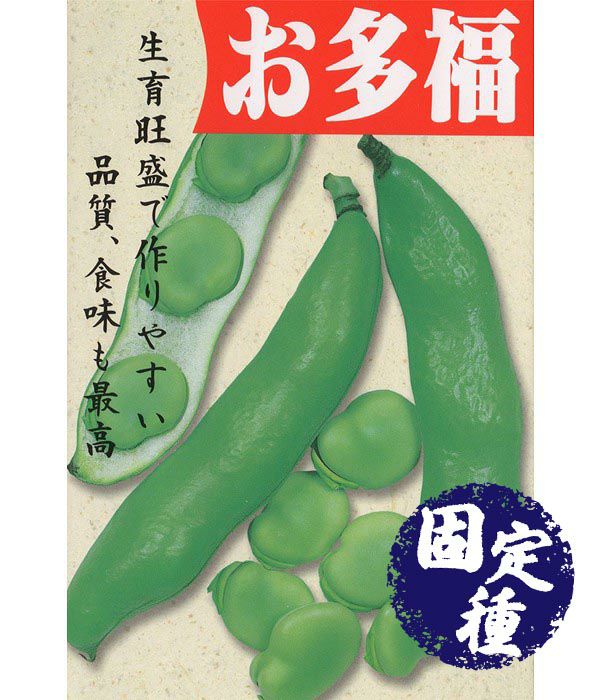 お多福蚕豆（そら豆の種）【固定種】|野菜のタネ専門通販サイト|アサヒのぐるたね