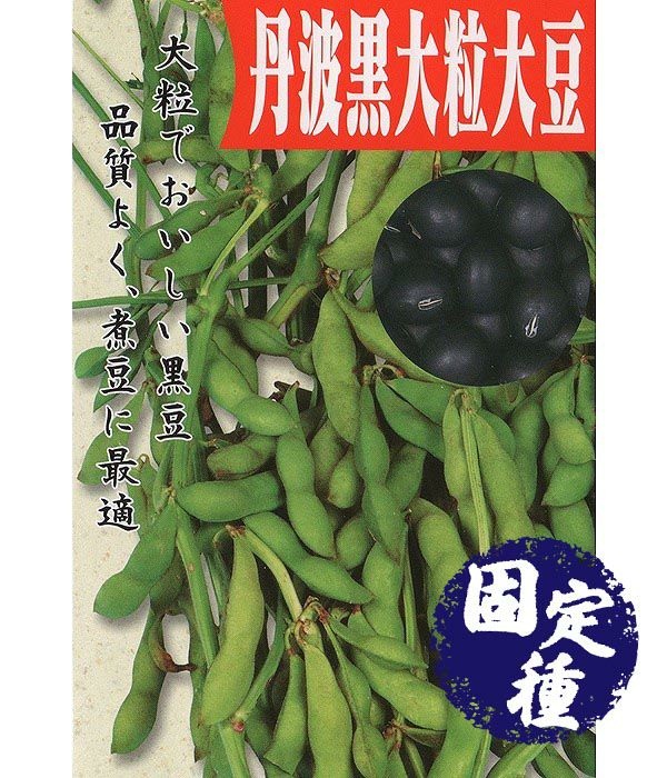 丹波黒大粒大豆（ダイズ・枝豆の種）【固定種】|固定種 在来種に強い 野菜のタネ専門通販サイト|アサヒのぐるたね