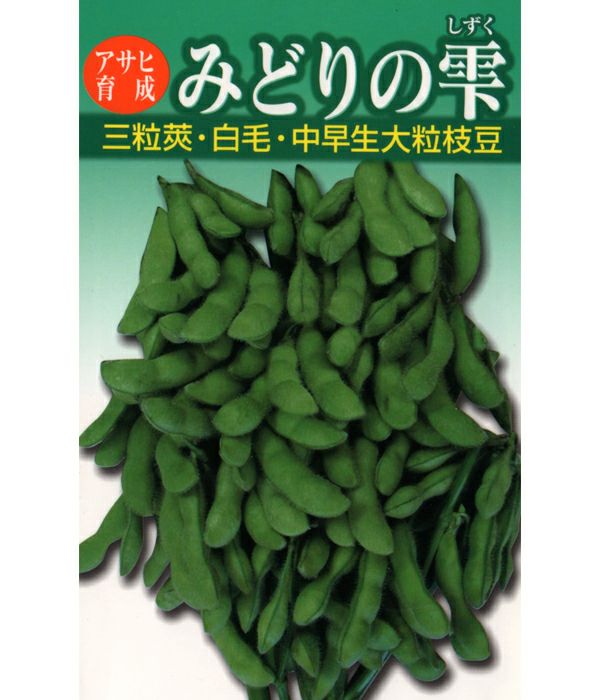 アサヒ育成 みどりの雫枝豆（エダマメの種）|固定種 在来種に強い 野菜