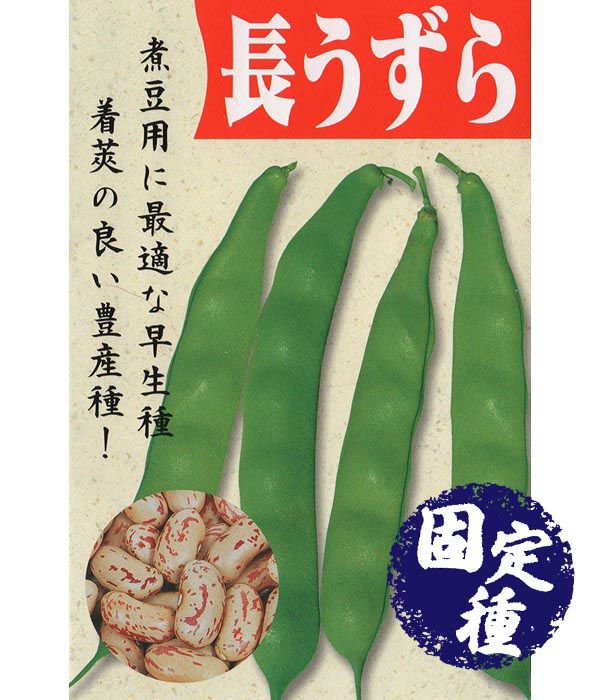 ジャンボインゲン スジ無し お試しサイズからたっぷりサイズまで