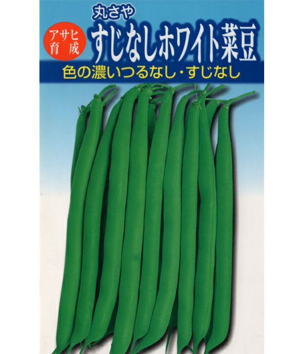 アサヒ育成 すじなしホワイト（インゲンの種）|野菜のタネ専門通販サイト|アサヒのぐるたね