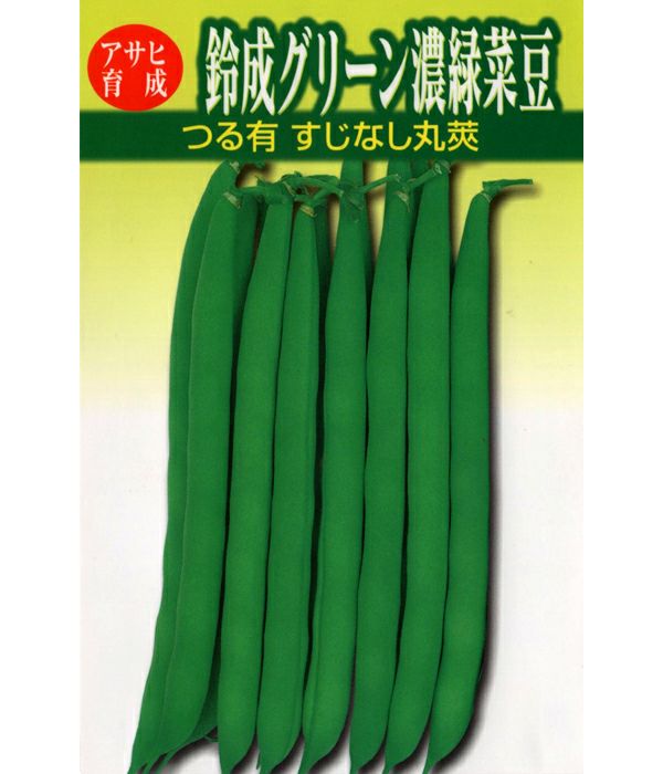 アサヒ育成 鈴成グリーン濃緑菜豆（インゲンの種）|野菜のタネ専門通販サイト|アサヒのぐるたね