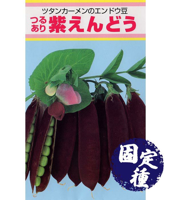 超お買い得！】 エンドウマメ 種 たね ツタンカーメン 紫豌豆 1袋 30ml えんどう豆 豌豆 野菜たね YTC32 