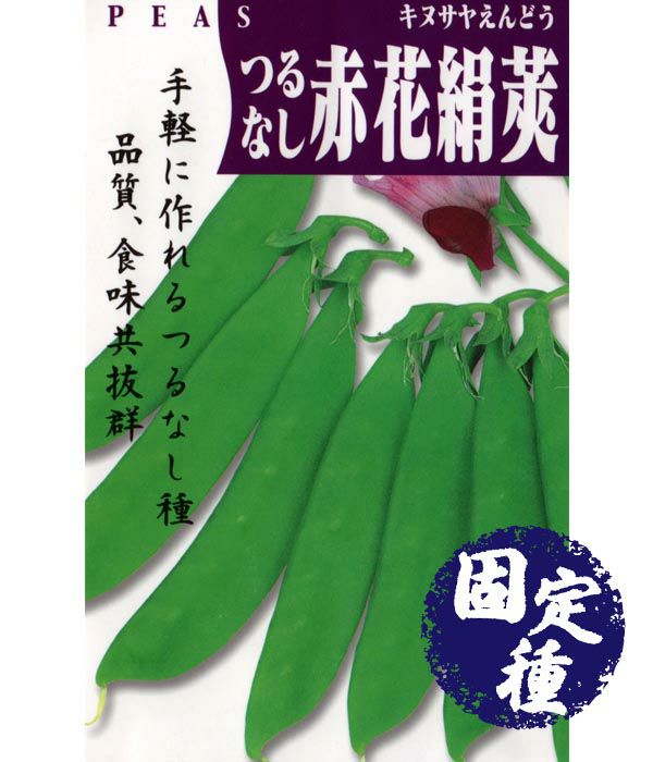 つるなし赤花絹莢（サヤエンドウの種）【固定種】|固定種 在来種に強い 野菜のタネ専門通販サイト|アサヒのぐるたね