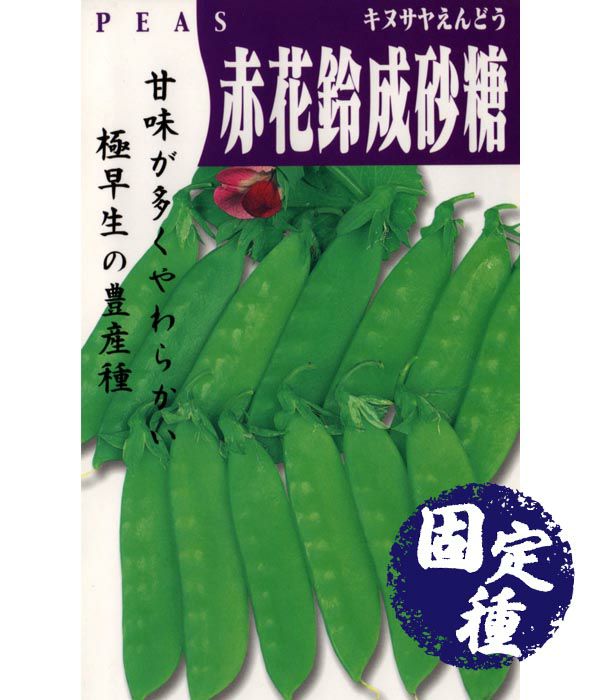 赤花鈴成砂糖（サヤエンドウの種）【固定種】|固定種 在来種に強い 野菜のタネ専門通販サイト|アサヒのぐるたね