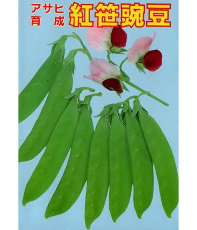 アサヒ育成 一紅（サヤエンドウの種）|固定種 在来種に強い 野菜のタネ