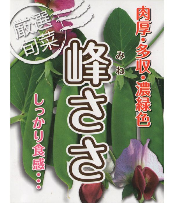 エンドウ 種 野菜たね マメ 極早生つるなし実取豌豆 1袋 30ml 野菜のタネ 野菜 種子 エンドウの種 豆 豌豆 タネ YTC32 国華園 休み