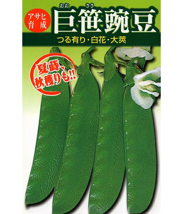 えんどう豆 野菜のタネ専門通販サイト アサヒのぐるたね