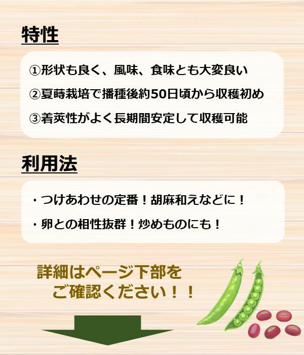 アサヒ育成 貴笹エンドウ豆（サヤエンドウの種）|固定種 在来種に強い