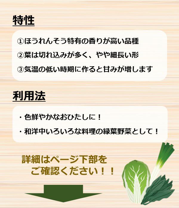 伝統野菜 治郎丸ほうれんそう（ほうれん草の種）|野菜のタネ専門通販サイト|アサヒのぐるたね