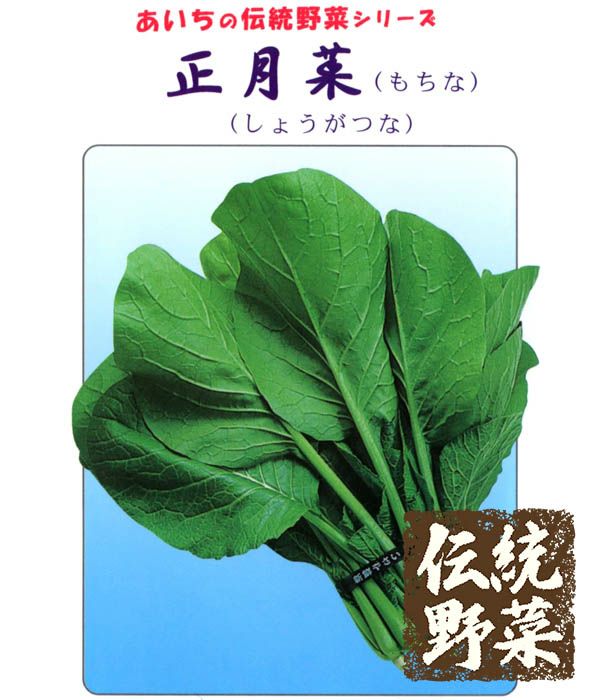 伝統野菜 正月菜 もちなの種 野菜のタネ専門通販サイト アサヒのぐるたね 伝統野菜 正月菜 もちなの種 野菜のタネ専門通販サイト アサヒのぐるたね
