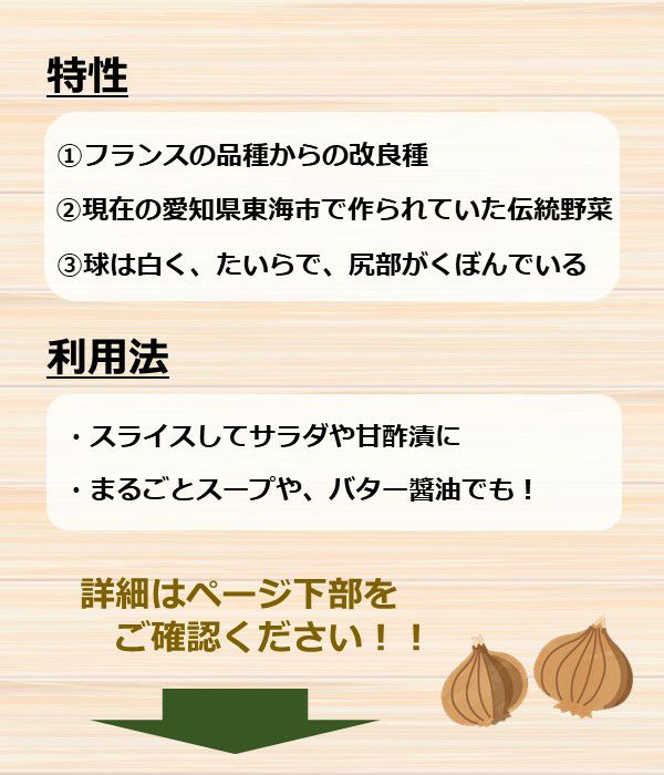 あいちの伝統野菜 愛知早生白玉葱（たまねぎの種）|固定種 在来種に