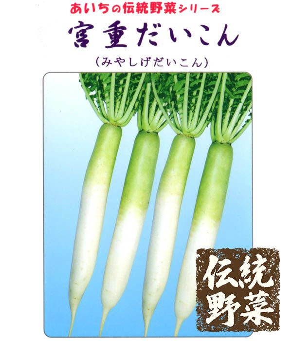 伝統野菜 宮重大根 だいこんの種 野菜のタネ専門通販サイト アサヒのぐるたね