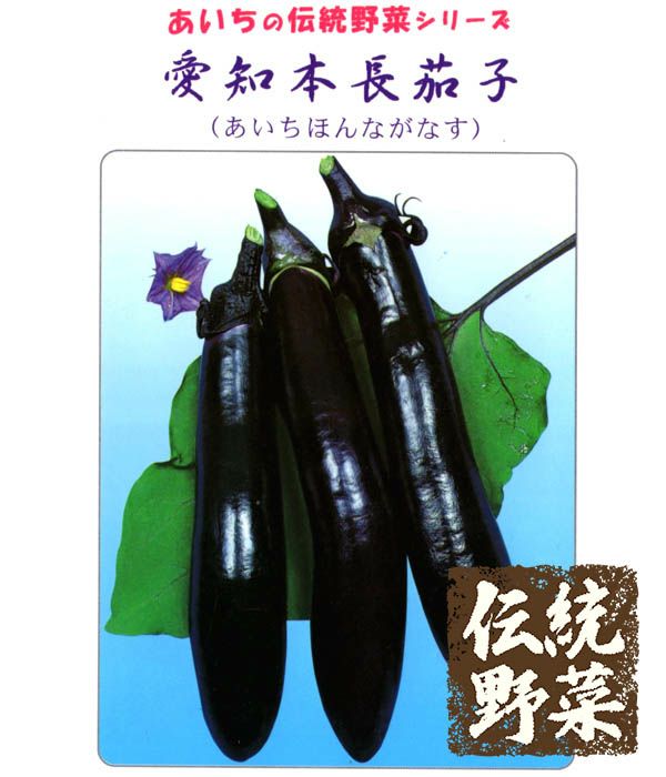伝統野菜 愛知本長茄子（ナスの種）|固定種 在来種に強い 野菜のタネ専門通販サイト|アサヒのぐるたね
