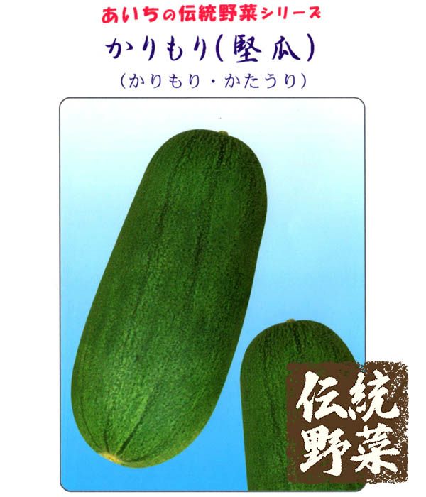 伝統野菜 かりもり 堅瓜の種 野菜のタネ専門通販サイト アサヒのぐるたね