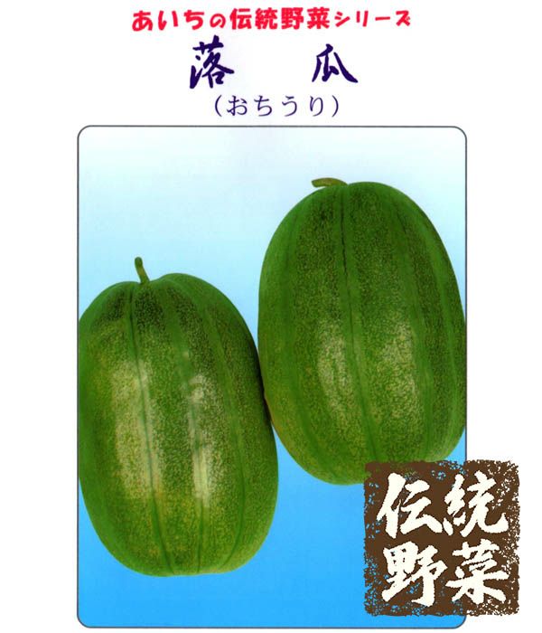 伝統野菜 落瓜 おちうりの種 野菜のタネ専門通販サイト アサヒのぐるたね