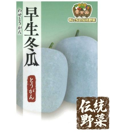大丸冬瓜（とうがんの種）【固定種】|固定種 在来種に強い 野菜