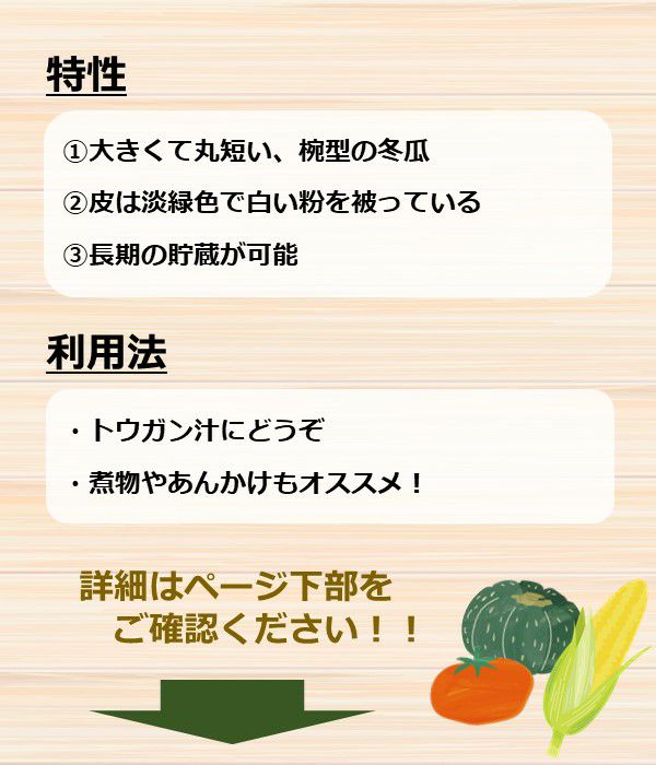大丸冬瓜（とうがんの種）【固定種】|固定種 在来種に強い 野菜