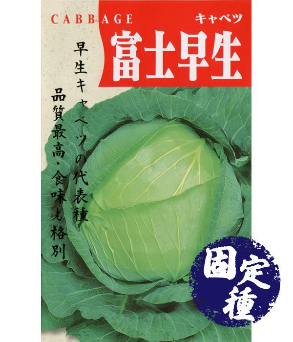 富士早生甘藍（キャベツの種）【固定種】