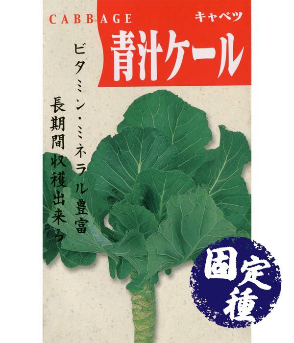 青汁ケール（キャベツの種）【固定種】|野菜のタネ専門通販サイト|アサヒのぐるたね