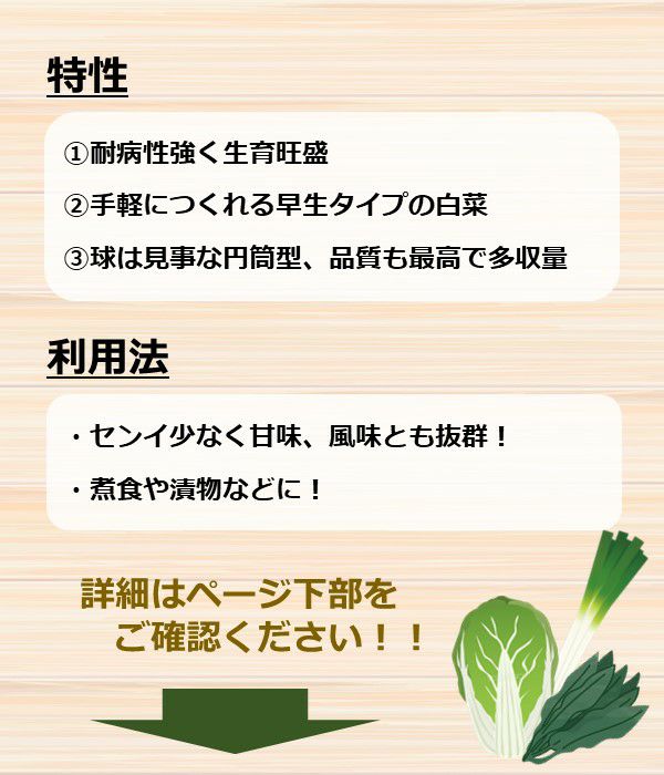 愛知白菜(ハクサイの種）【固定種】|野菜のタネ専門通販サイト|アサヒのぐるたね