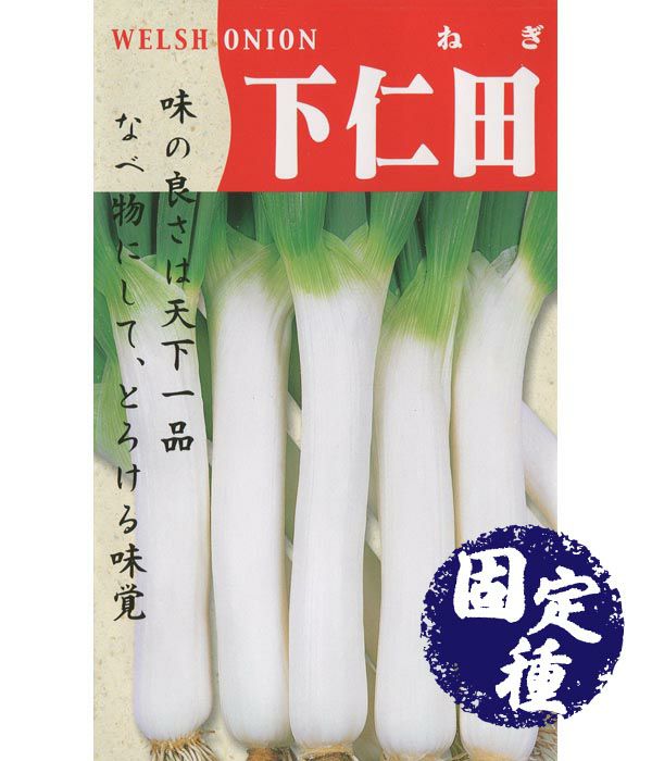 下仁田葱(ネギの種）【固定種】