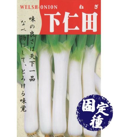 東京芳香栗かぼちゃ（南瓜の種）【固定種】|固定種 在来種に強い 野菜