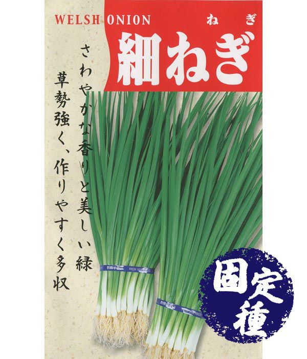 細葱 ネギの種 固定種 野菜のタネ専門通販サイト アサヒのぐるたね